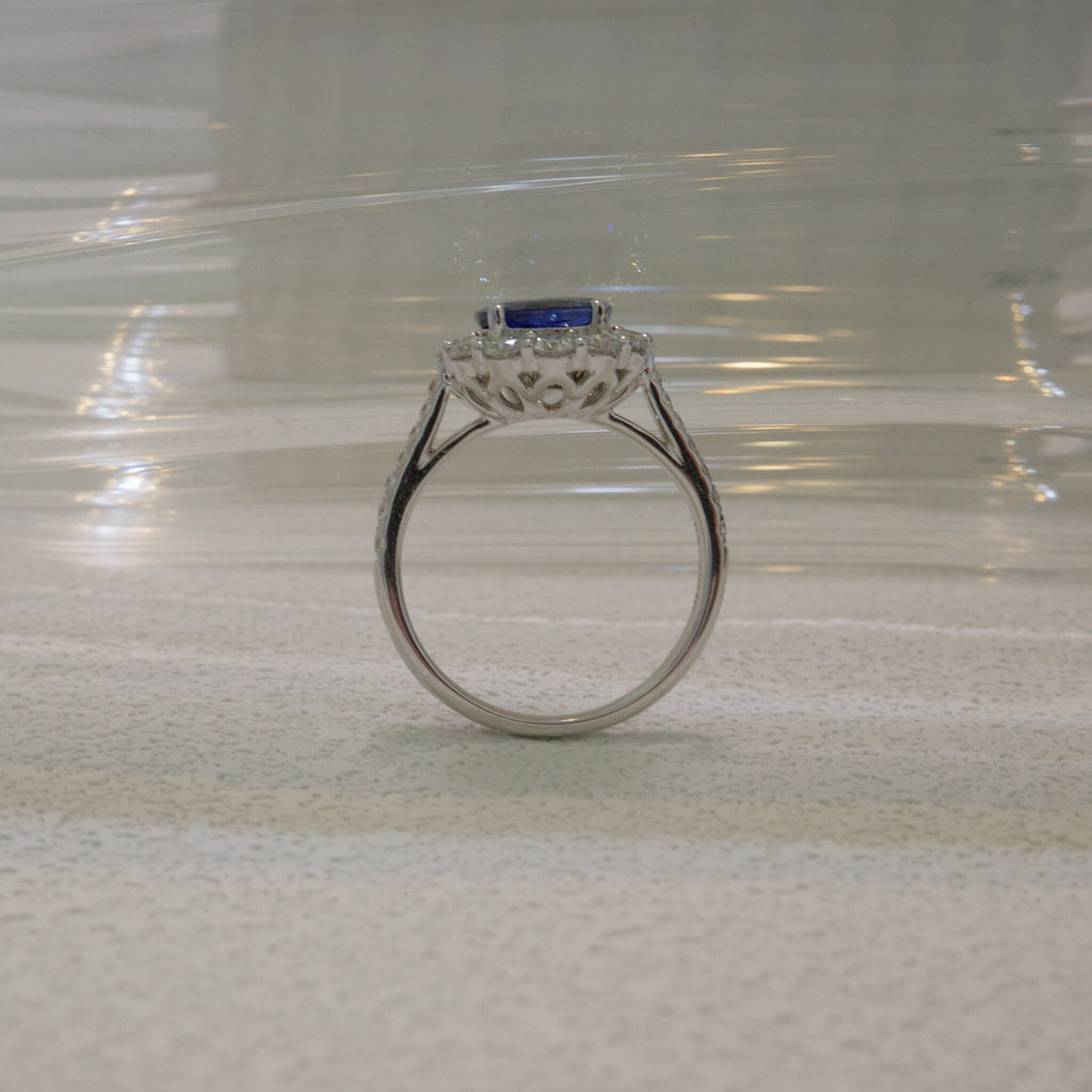 Midnight Legacy Collection | Sapphire